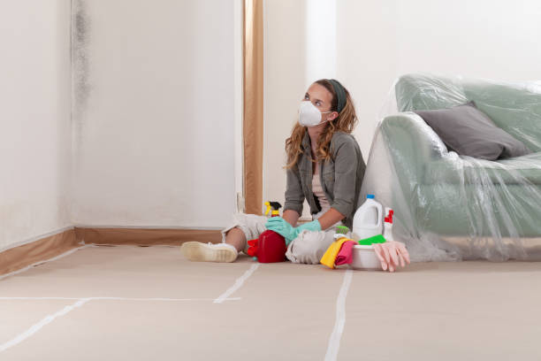 Reliable Mold Remediation contractor in Cedar Springs, MI by Mold Remediation HQ